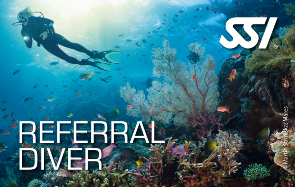 Dive SSI Referral Diver - Theorie & Pool